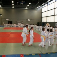 judo 1